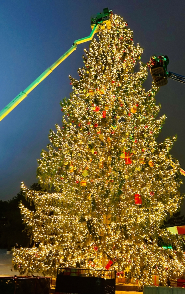 DoSe Saisonabschluss 2025 DoSe Saisonabschluss 2025