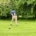 Gifhorner Jungsenioren belegen 1. Platz beim Heimspiel
