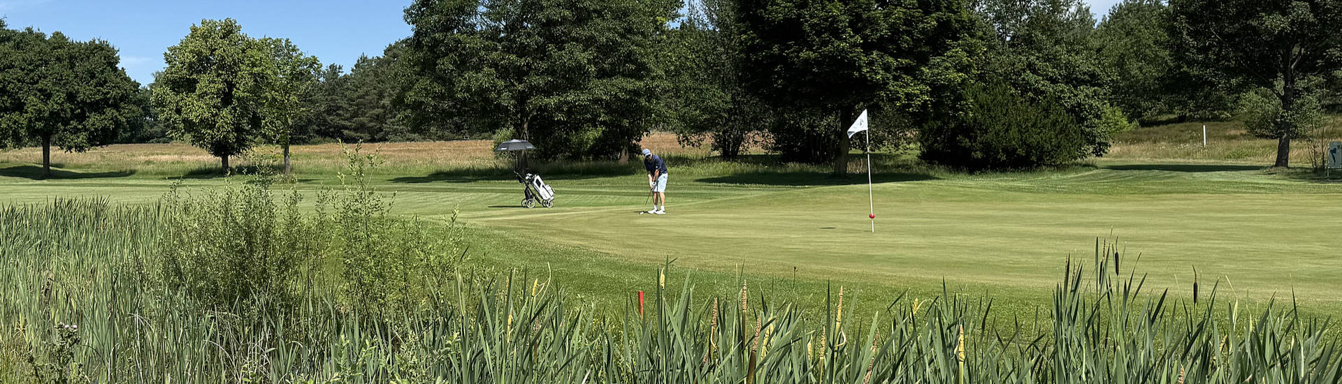 Golfclub Gifhorn - Bahn 17 - Golf in Niedersachsen