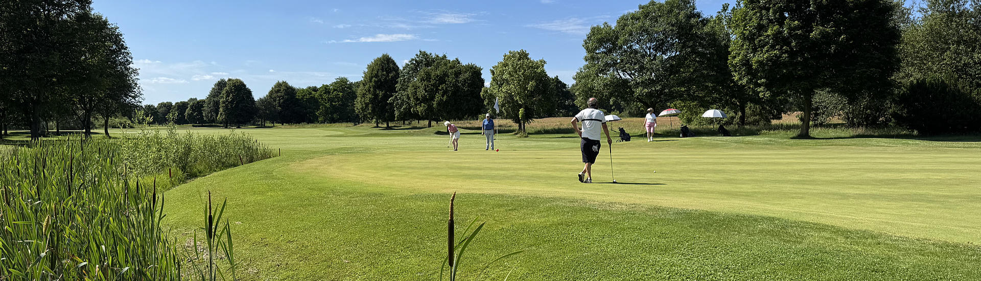Golfclub Gifhorn - Bahn 17 - Golf in Niedersachsen