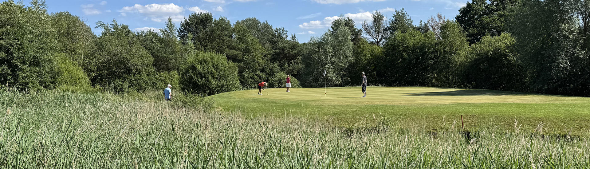 Golfclub Gifhorn - Bahn 18 - Golf in Niedersachsen