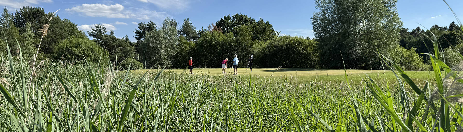 Golfclub Gifhorn - Bahn 18 - Golf in Niedersachsen
