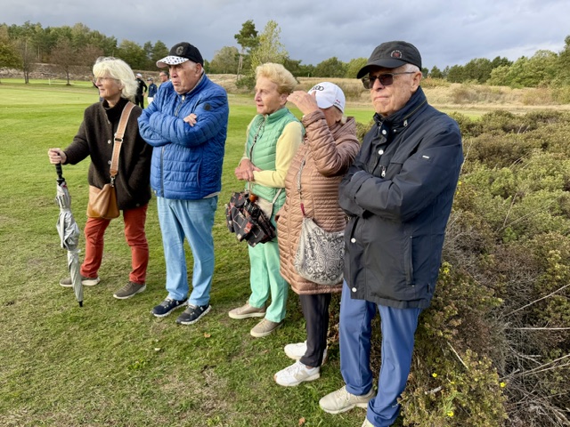 DMM AK 14 _ Golfclub Gifhorn DMM AK 14 _ Golfclub Gifhorn